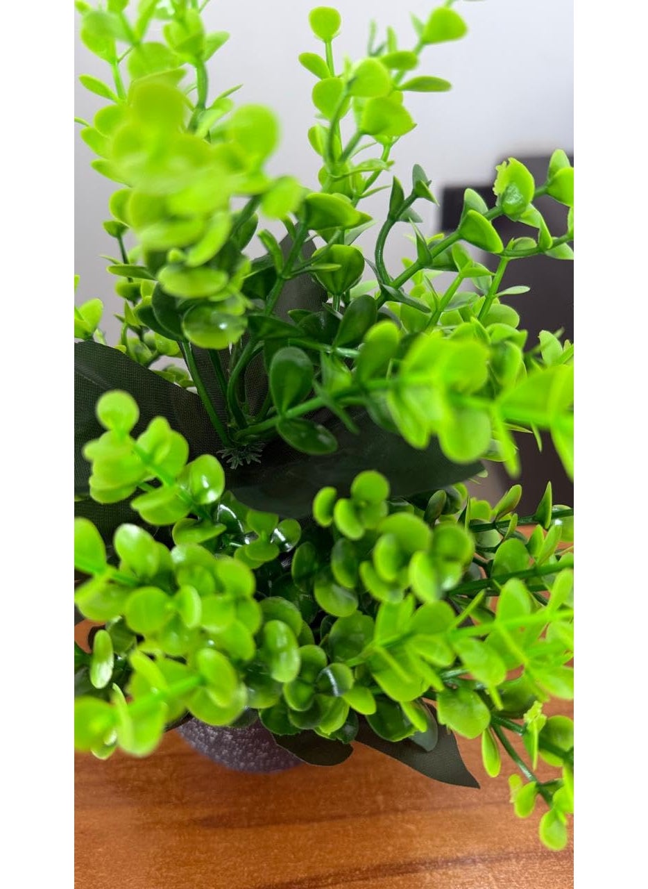 Generic Premium Artificial Plant with Pot by Pines and Cones Stylish Home Decor Ideal for Gifting  - Image 3