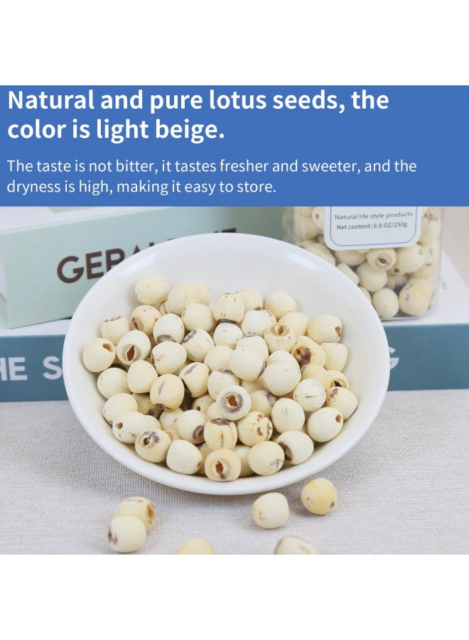 DOZO DOZO Natural Dried Lotus Seeds 17.6oz/500g Lotus Seed for Eating Core Removal Dermabrasion Premium Lotus Seed BakingTea  - Image 1