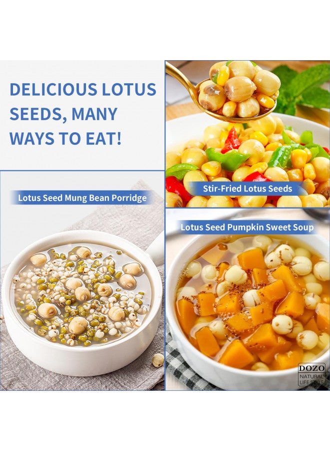 DOZO DOZO Natural Dried Lotus Seeds 17.6oz/500g Lotus Seed for Eating Core Removal Dermabrasion Premium Lotus Seed BakingTea  - Image 3