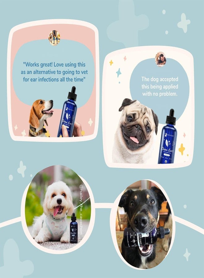 kin+kind Dog Ear Cleaner Solution - Organic Dog Ear Wash & Easy-to-Use Ear Drops for Dogs - Cleans Wax, Dirt & Odor - Gentle Ear Cleaning w/Witch Hazel, Aloe Vera & Tea Tree Oil - 12 fl oz - Image 5