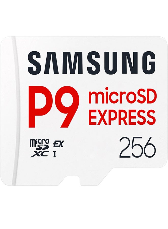 samsung Samsung P9 Microsd Express Card 256GB