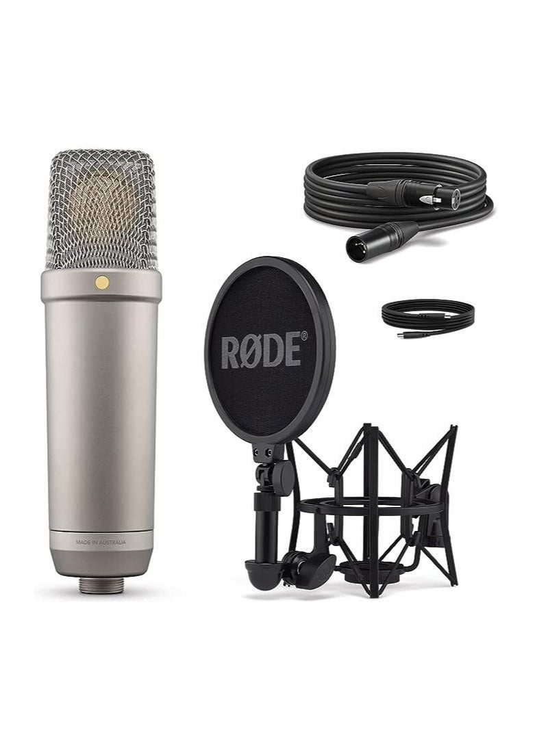 RØDE NT1 5th Generation NICKEL  - Image 2