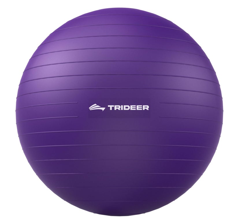 Trideer Exercise Ball for Yoga, Pilates & Fitness â€“ Stability Ball Equipment for Home Gym & Office Chair, Core & Balance Training Accessories, Physical Therapy Equipment, Quick Pump Included, 5 Sizes - Image 1