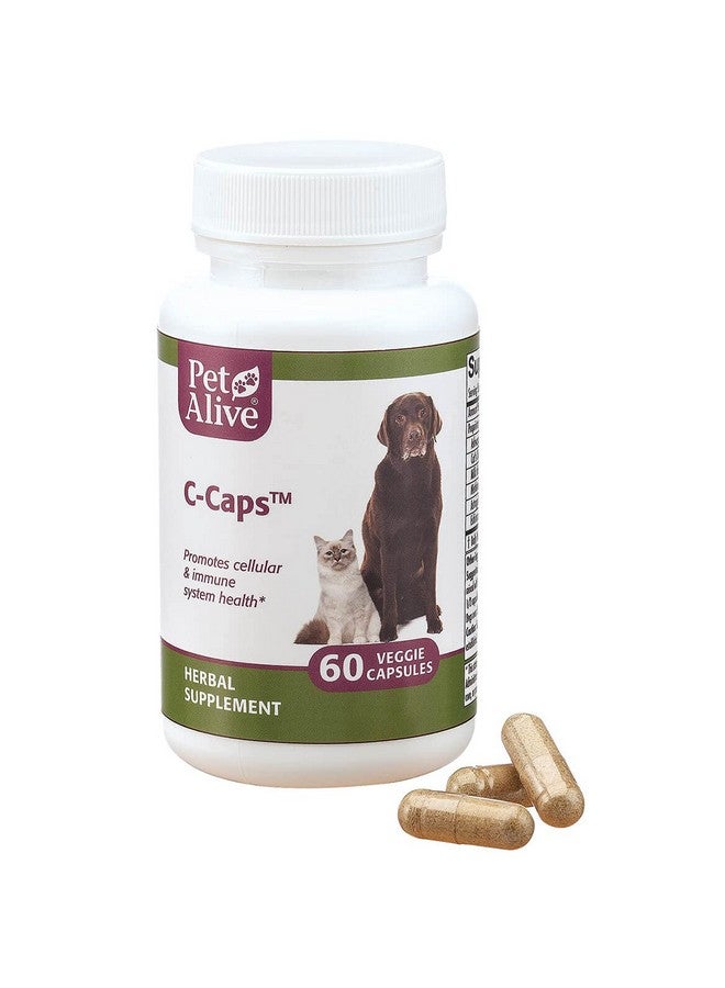 PetAlive C-Caps - All Natural Herbal Supplement Promotes Cellular and Immune System Health in Dogs and Cats - 60 Veggie Caps - Image 2