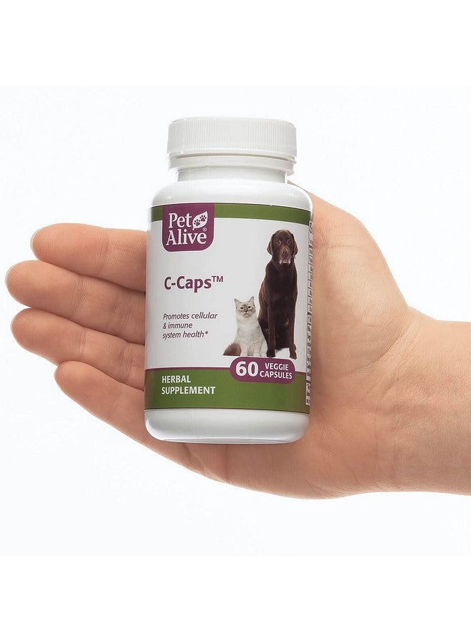 PetAlive C-Caps - All Natural Herbal Supplement Promotes Cellular and Immune System Health in Dogs and Cats - 60 Veggie Caps - Image 4