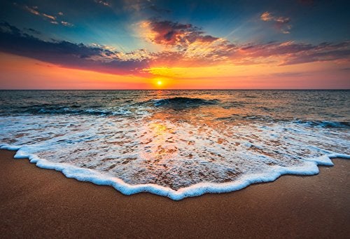 Leyiyi 7x5ft Photography Background Seaside Sunset Backdrop Wedding Ceremony Hawaiian Luau Party Hula Ocean Wave Foam Beach Sand Honeymoon Travel Summer Banquet Baby Photo Portrait Vinyl Studio Prop - Image 4