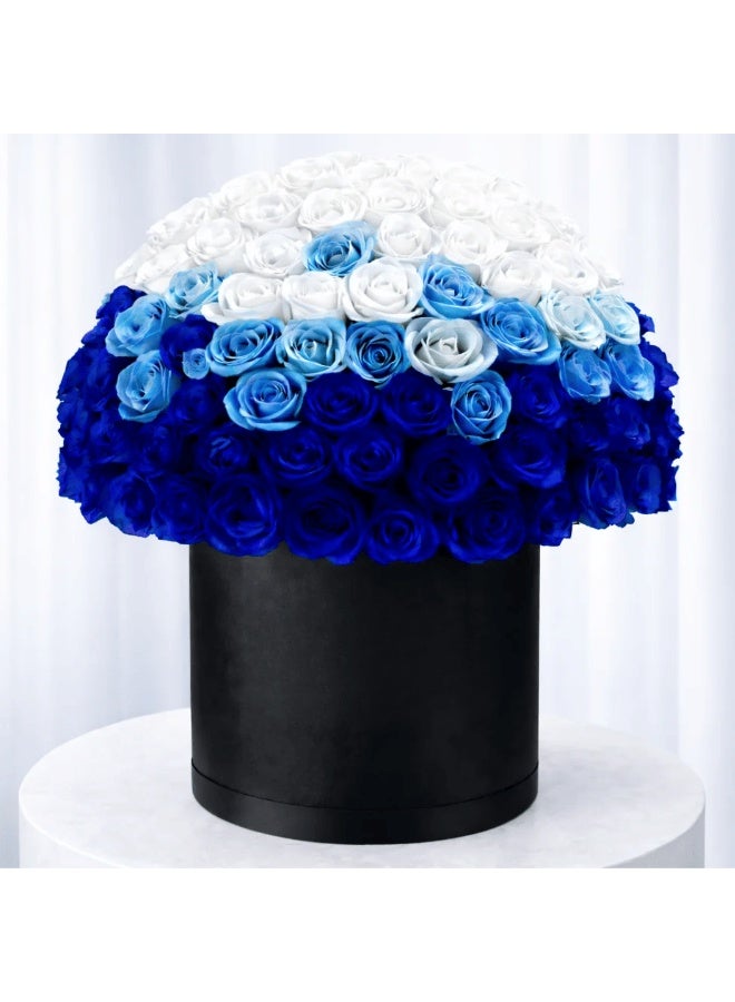 Luxury 75 Premium Roses Floral Arrangement, White, Sky Blue & Royal Blue, Matte Black Hat Box