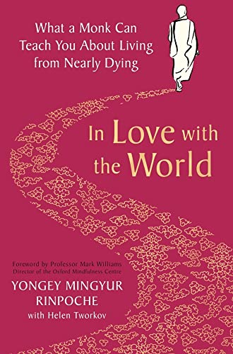 In Love With The World What A Monk Can Teach You About Living From Nearly Dying 