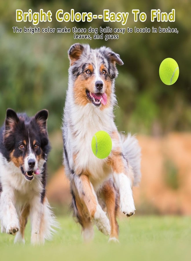 Magicorange كرات تنس ماجيك أورانج للكلاب، عبوة من 20 كرة تنس عائمة تصدر صوتاً بحجم 2.5 بوصة لتمارين الجلب، كرات مطاطية طبيعية تصدر صوتاً آمنة لتدريب الكلاب (متعددة الألوان، 2.5 بوصة) - Image 5