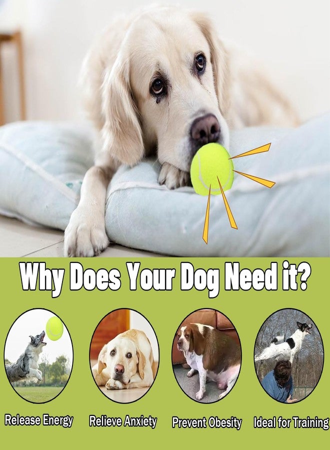 Magicorange كرات تنس ماجيك أورانج للكلاب، عبوة من 20 كرة تنس عائمة تصدر صوتاً بحجم 2.5 بوصة لتمارين الجلب، كرات مطاطية طبيعية تصدر صوتاً آمنة لتدريب الكلاب (متعددة الألوان، 2.5 بوصة) - Image 3