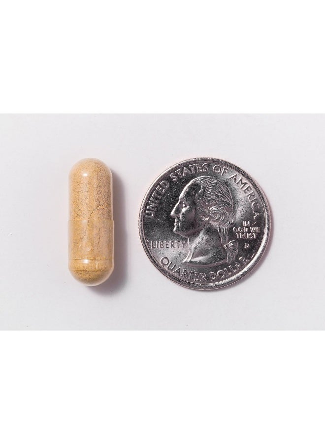 | Once Daily Bariatric Multivitamin - Capsule - 18Mg Iron - 30Ct