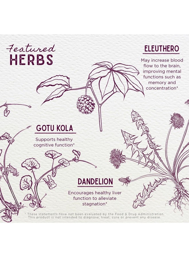 WishGarden Herbs Genius Juice - Liquid Herbal Nootropic Brain Booster Supplement for Focus, Clarity, Concentration & Energy with Ginkgo Biloba & Gotu Kola, Cognitive Support, No Caffeine, 4oz - Image 4