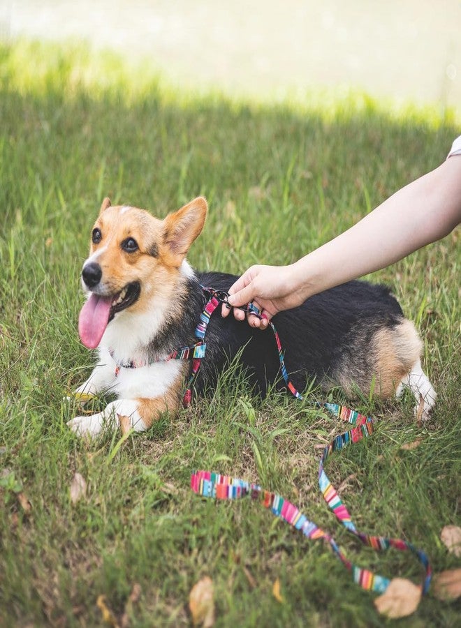 M-PETS Urban Style Jazz Stripes Harness for X-Small Dogs, Adjustable Neck, Chest Fit, EcoFriendly Dog Harness, Strong Nylon Buckles, Easy to Clean, for Walking, Training & Outdoor Activities, X-Small - Image 5