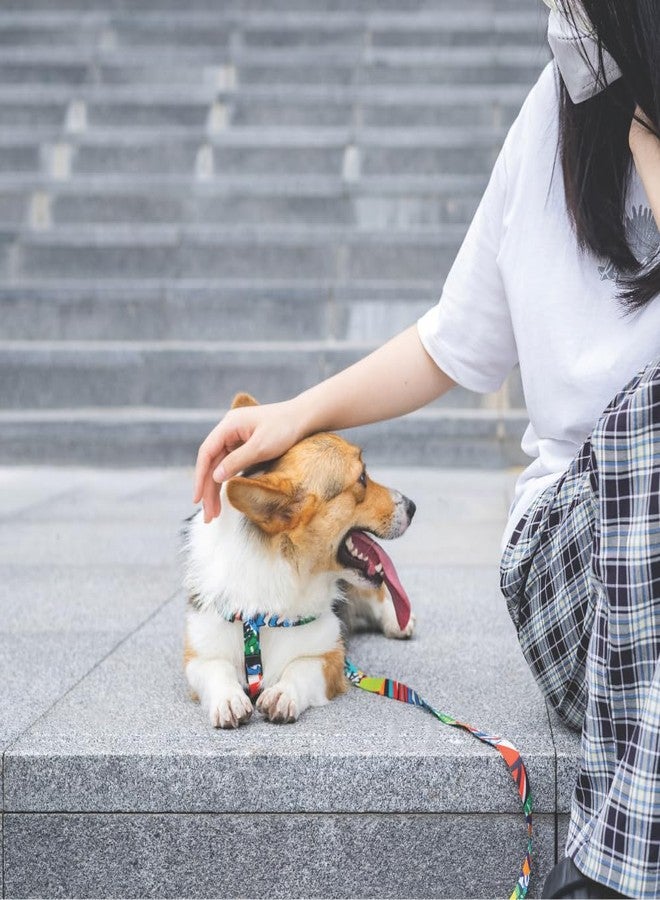 M-PETS Urban Style Jazz Stripes Harness for X-Small Dogs, Adjustable Neck, Chest Fit, EcoFriendly Dog Harness, Strong Nylon Buckles, Easy to Clean, for Walking, Training & Outdoor Activities, X-Small - Image 4