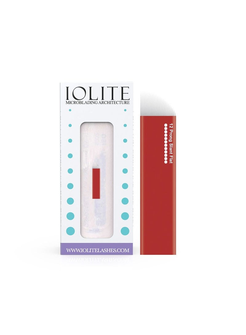 IOLITE Microblading 12 Prong Slant Flat Needle  IC12P1R SPMU NEEDLE Size 25mm one time use disposable blade Sterile packaged 12pcs - Image 1