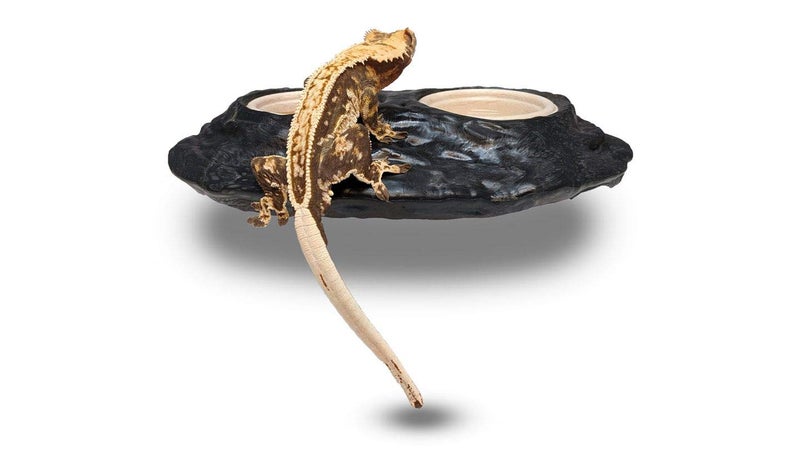 Pangea Ultimate Gecko Ledge - Magnetic Reptile Feeder - Image 2