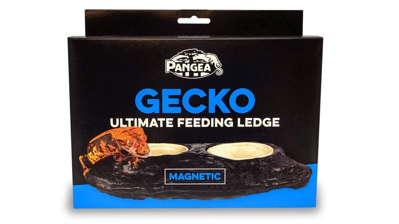 Pangea Ultimate Gecko Ledge - Magnetic Reptile Feeder - Image 5