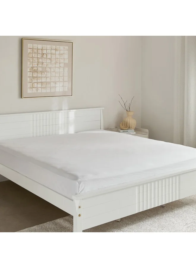 Home Box Purely Percale Olympic Queen Fitted Sheet 200 x 40 x 160 cm