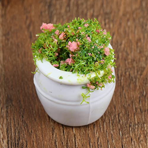 Tboxbo 4 Pcs Dollhouse Potted Plants Miniature Artificial Plant Bonsai Mini Flowerpot Miniature Dollhouse Kit Doll House Mini Plant For 1:12 Dollhouse Decor  Zgdyt67D1 - Image 5