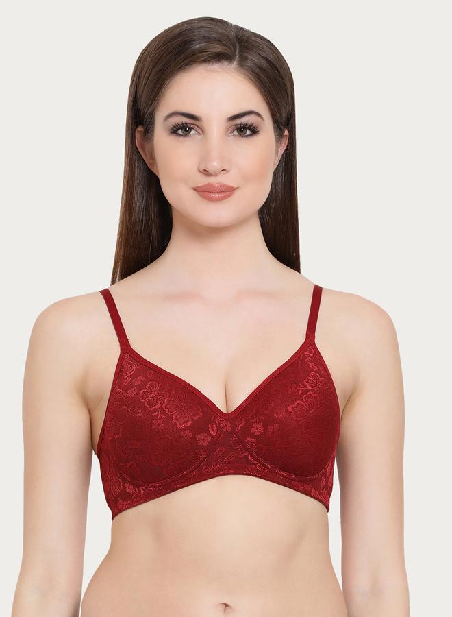 Clovia Pack of 2 - Lace Padded Non-Wired Full Coverage Bra - Image 4