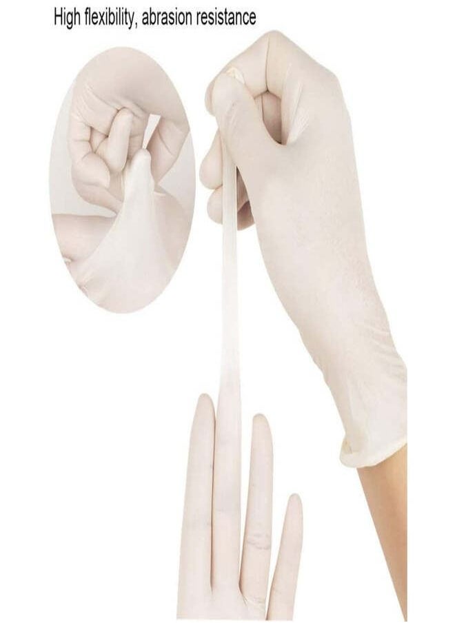 Latex Gloves Powder Free - Extra Large Size (Pack of 2)