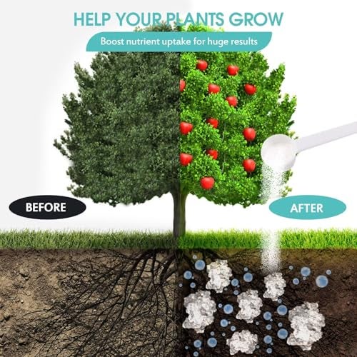Oycevila 5LB Water Storing Crystals for Plants with Spoon, Water Gel Solves Plant Over-Watering and Drought Problems, Keeps The Soil Moist, Small Water Storing Polymer Crystals for Plants Powder - by Oycevila - Image 3