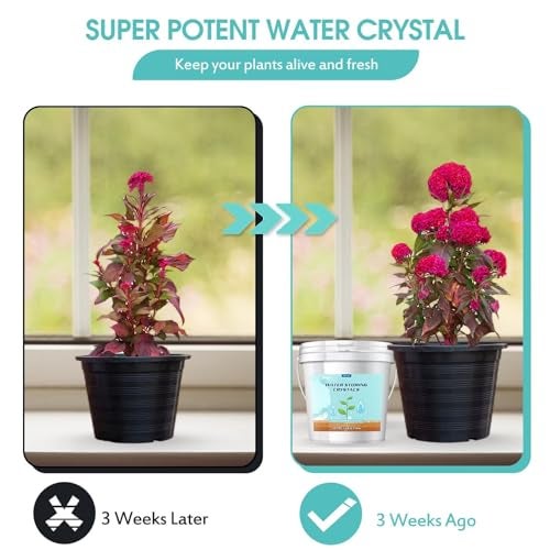 Oycevila 5LB Water Storing Crystals for Plants with Spoon, Water Gel Solves Plant Over-Watering and Drought Problems, Keeps The Soil Moist, Small Water Storing Polymer Crystals for Plants Powder - by Oycevila - Image 5
