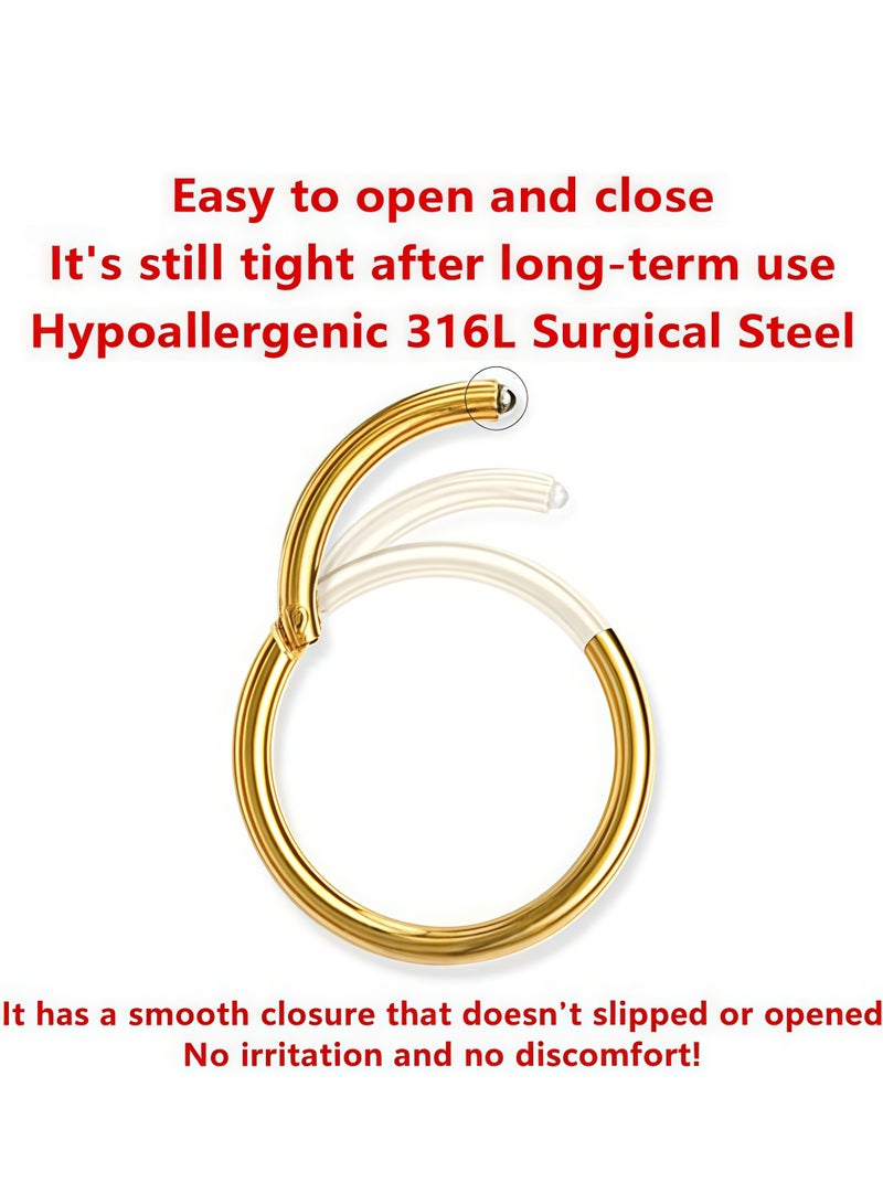 Nose Rings Hoop and Nose Studs Sets for Women Men,Hypoallergenic 316L Surgical Stainless Steel Hinged Clicker Segment Nose Rings Hoop Helix Cartilage Daith Tragus Sleeper Earrings Silver Gold Black L Shape/Corkscrew/Straight Nose Studs Real Body Piercing Jewelry - Image 2