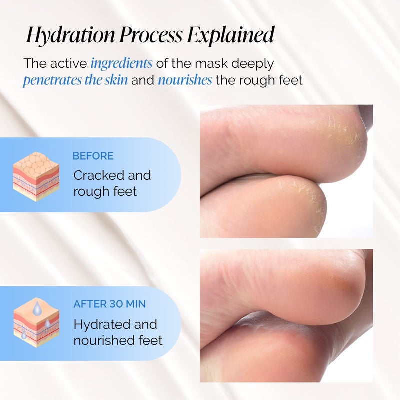 PLANTIFIQUE Korean Foot Mask with Shea Butter 4 Pairs box for Dry & Cracked Feet | Hydrating Socks for Soft Heels | Intense Moisturizing and Repairing Dry Rough Skin | Foot Spa | Happy Feet Mask - Image 2