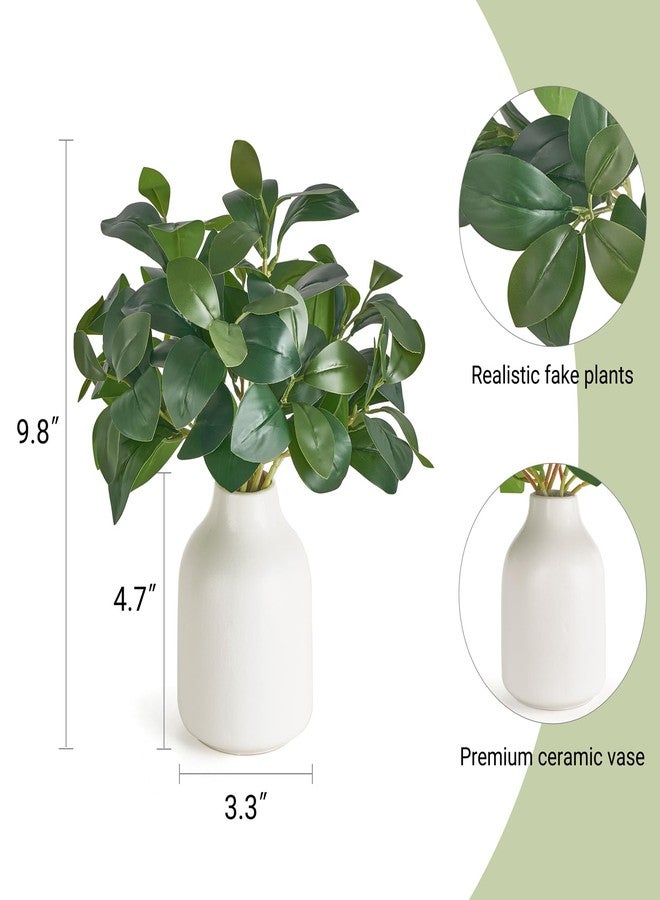 Dahey Fake Plants in Small Ceramic Vase Realistic Artificial Faux Plants Indoor Modern Farmhouse Table Centerpieces for Bathroom Kitchen Shelf Living Room Home Greenery Decor, White - Image 3