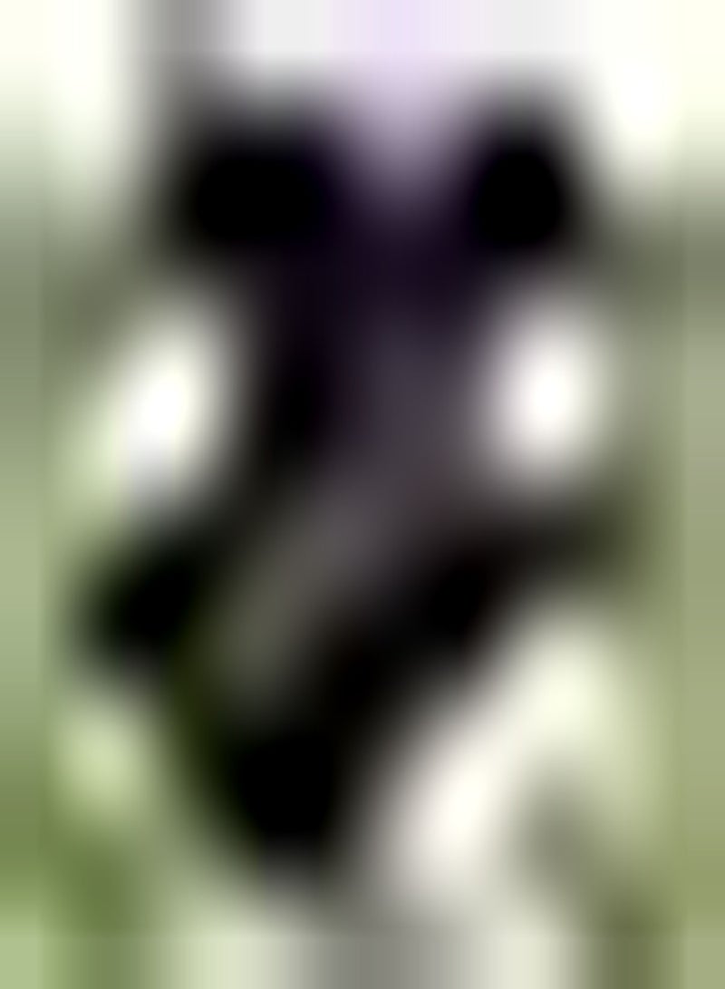 GGOOT 5pcs Zwarte Iris Bollen Meerjarige Non GMO Open Bestuiving Bollen Sierplanten Bloemen Geplant Buiten Boerderij Binnenplaatsen voor Tuinen Planten - Image 1