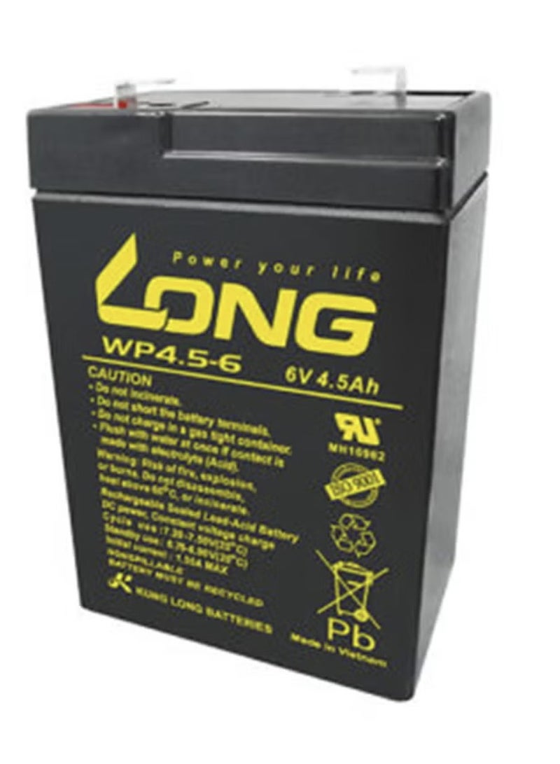 AGM Lead Acid Battery