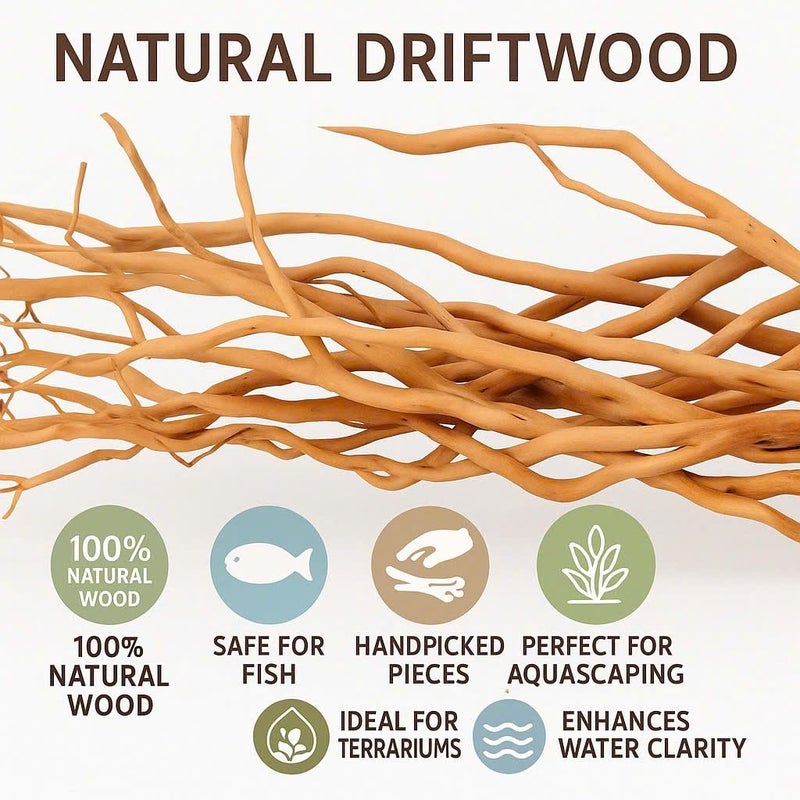Azil Natural Aquarium Driftwood Root â€“ Driftwood for Aquarium Decor, 170g~0.38lb (14â€³â€“16â€³), Fish Tanks, Terrariums, Aquascaping & Planted Tanks - Image 3