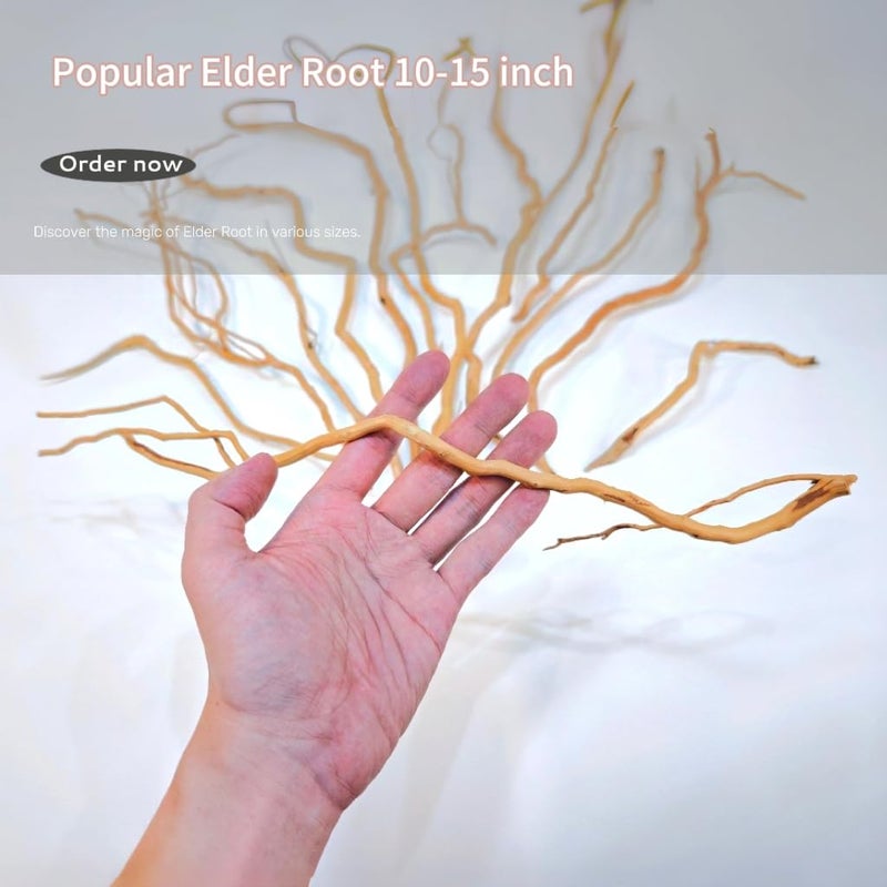 Azil Natural Aquarium Driftwood Root â€“ Driftwood for Aquarium Decor, 170g~0.38lb (14â€³â€“16â€³), Fish Tanks, Terrariums, Aquascaping & Planted Tanks - Image 5