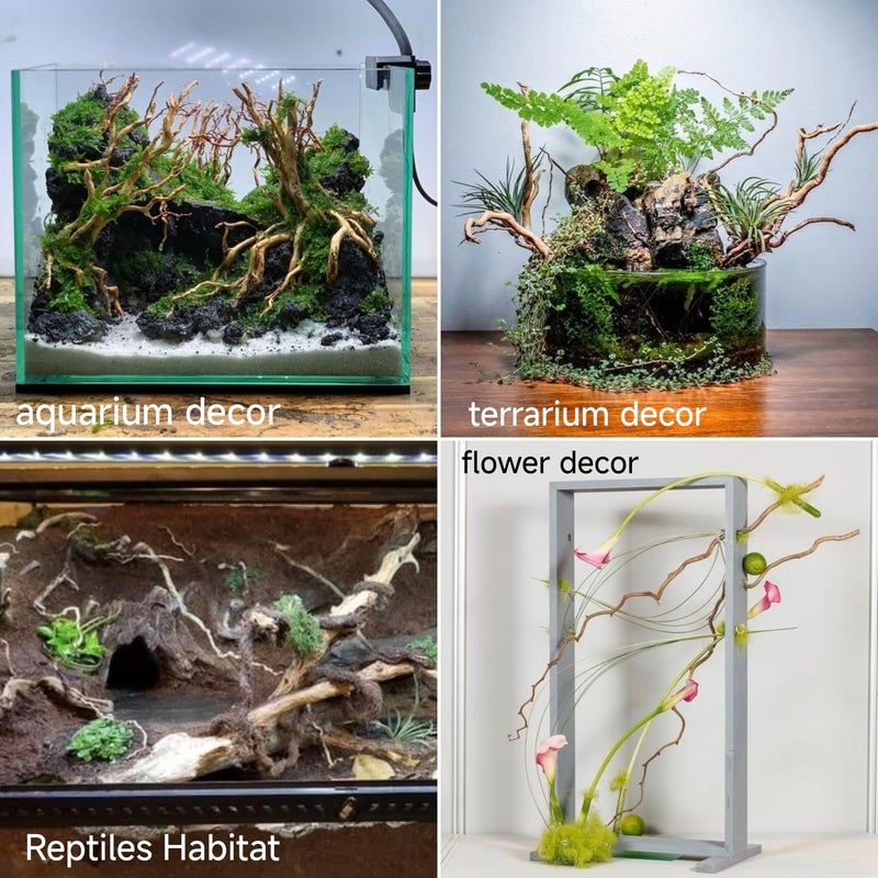 Azil Natural Aquarium Driftwood Root â€“ Driftwood for Aquarium Decor, 170g~0.38lb (14â€³â€“16â€³), Fish Tanks, Terrariums, Aquascaping & Planted Tanks - Image 2