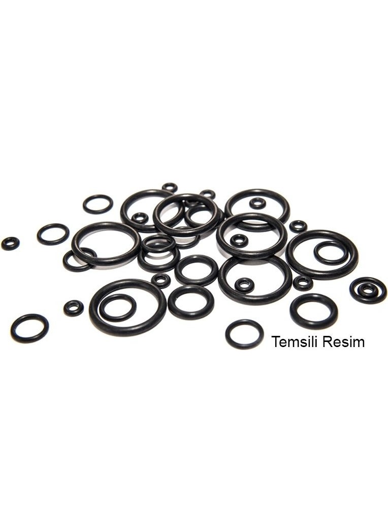 O-Ring 24.99X3.53MM.10 Pieces, For Valve Bottom