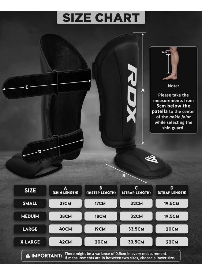 Rdx RDX Shin Guards Kickboxing Muay Thai, SATRA SMMAF Approved, Premium Maya Hide Leather, Leg Instep Protection Pads, MMA Martial Arts Kicking Sparring Training Gear, BJJ Karate Boxing Taekwondo, Black - Image 5