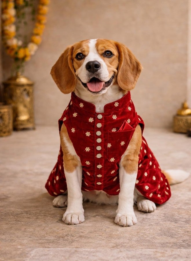 LittlePaws Royale Velvet Dog Kurta | Premium Festive Ethnic Wear for Dogs | Soft Satin Inner Lining | Wedding, Diwali & Special Occasion Pet Outfit | Luxury Designer Pet Clothing (L) - Image 1