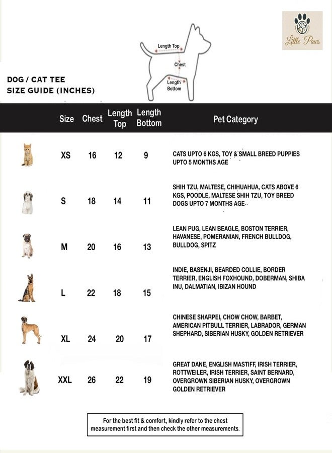 LittlePaws Royale Velvet Dog Kurta | Premium Festive Ethnic Wear for Dogs | Soft Satin Inner Lining | Wedding, Diwali & Special Occasion Pet Outfit | Luxury Designer Pet Clothing (L) - Image 5