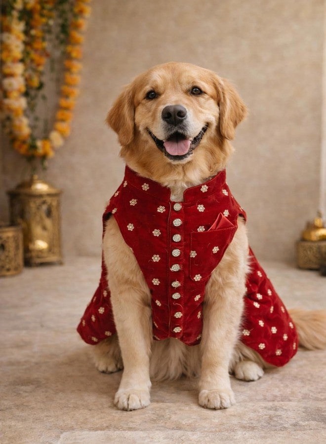 LittlePaws Royale Velvet Dog Kurta | Premium Festive Ethnic Wear for Dogs | Soft Satin Inner Lining | Wedding, Diwali & Special Occasion Pet Outfit | Luxury Designer Pet Clothing (L) - Image 4