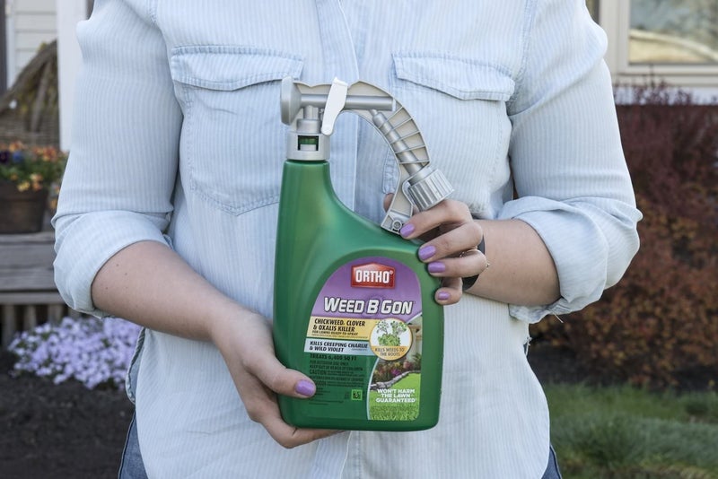 Ortho Weed B Gon Chickweed, Clover & Oxalis Killer for Lawns, 32 Oz. (Pack of 2) - Image 2
