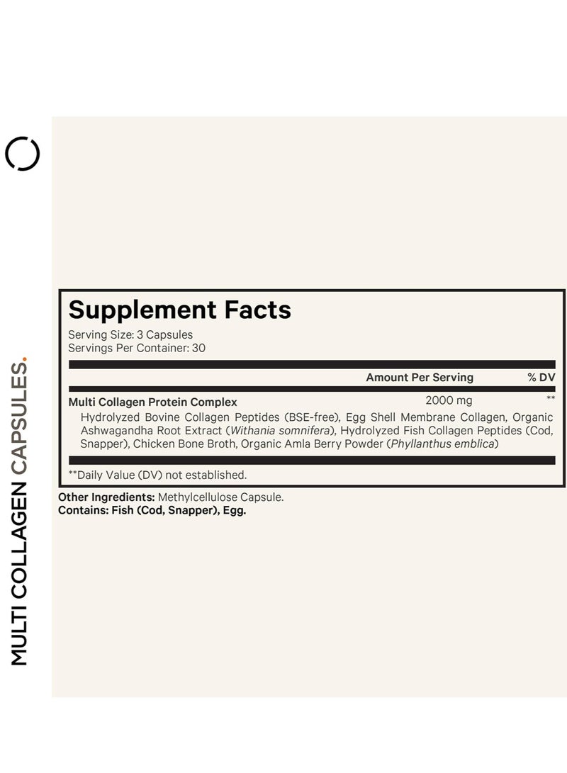 Codeage Multi Collagen Peptides Protein Ashwagandha, Amla Berry Vitamins, Collagen Peptides 90 Capsules 30 Servings - Image 2