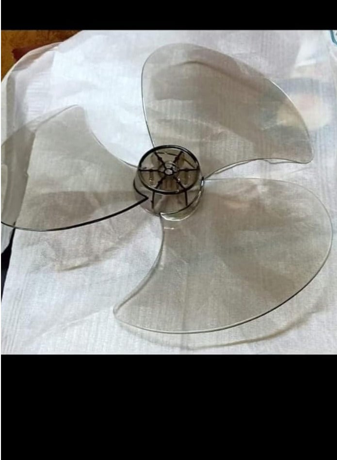 Fresh transparent fan feather
