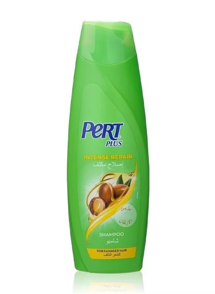 برت بلاس شامبو برت بلاس بزيت الارغان اصلاح مكثف 200مل - Image 1