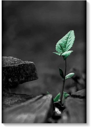 Decorative Wall Art Painting Black/Green 40 x 60cm - pzsku/Z7AE868E06E936C13B776Z/45/_/1690058869/d91015fd-0c2d-44a6-947f-6e0f66fb4c3f