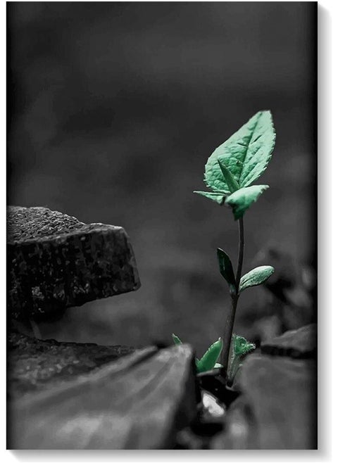 Decorative Wall Art Painting Black/Green 40 x 60cm