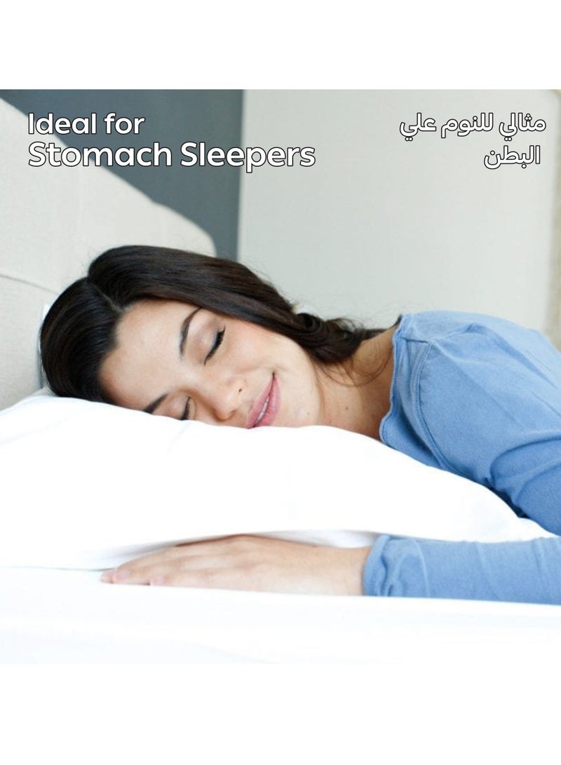 Donetella Bed Pillow Size 50X75 Cms - 800 Gms - Luxury Down Alternative Filling Pillow Soft Brushed Microfiber Top, Anti Allergy Bed Pillows,White,Pack Of 2 (وسادة)  - Image 4