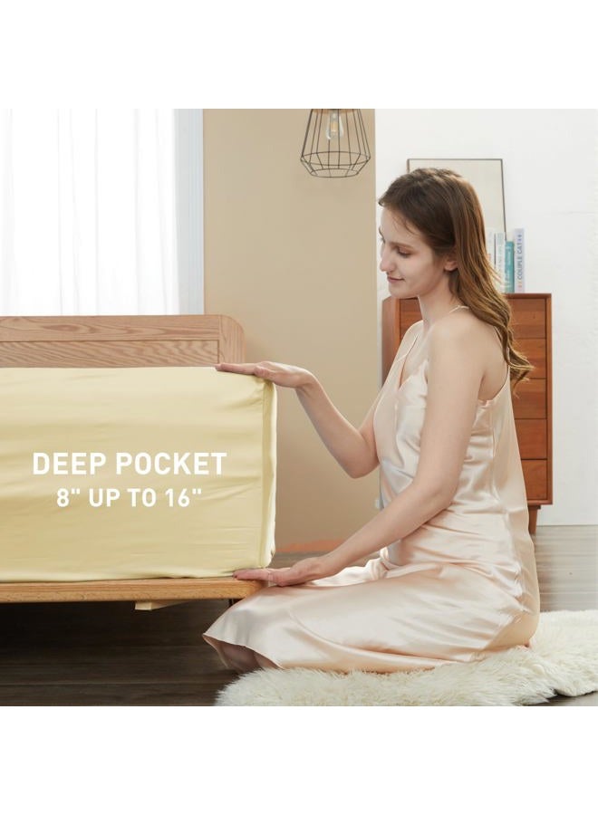 Sunflower Cotton Queen Sheet Set - Queen Size Sheet Deep Pocket Fits up to 16 inches, 4-Piece Queen Bed Sheet with Silver Trimmed Design, Luxury Hotel Quality,Butter Cream - Image 4