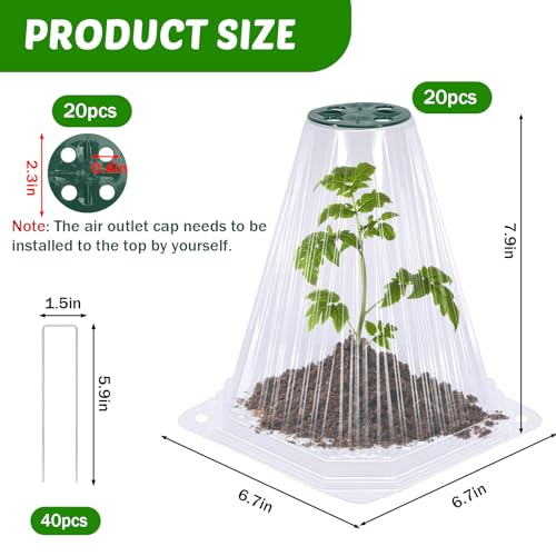 VICAMB 20 Pack Garden Cloches for Plants with 40PCS Ground StakesClear Reusable Bell Covers with Rotatable Vent for Plant ProtectionGarden Protector from Animals Birds Chicken79 H X 67 D - Image 3