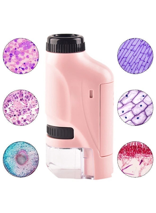 Chabeia Children's Portable Science Microscope, 60x-120x Handheld Pocket Miniscope Kits with 12 Specimens and study book, Portable Mini Microscope with LED Lighted for Kids Educational Science Exploring (Pink) - Image 4